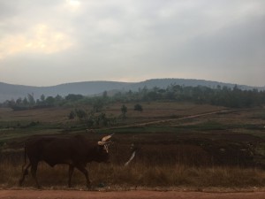 2017-08-03 - Burundi(23)